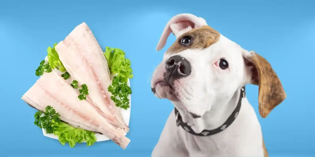 can dogs eat fish