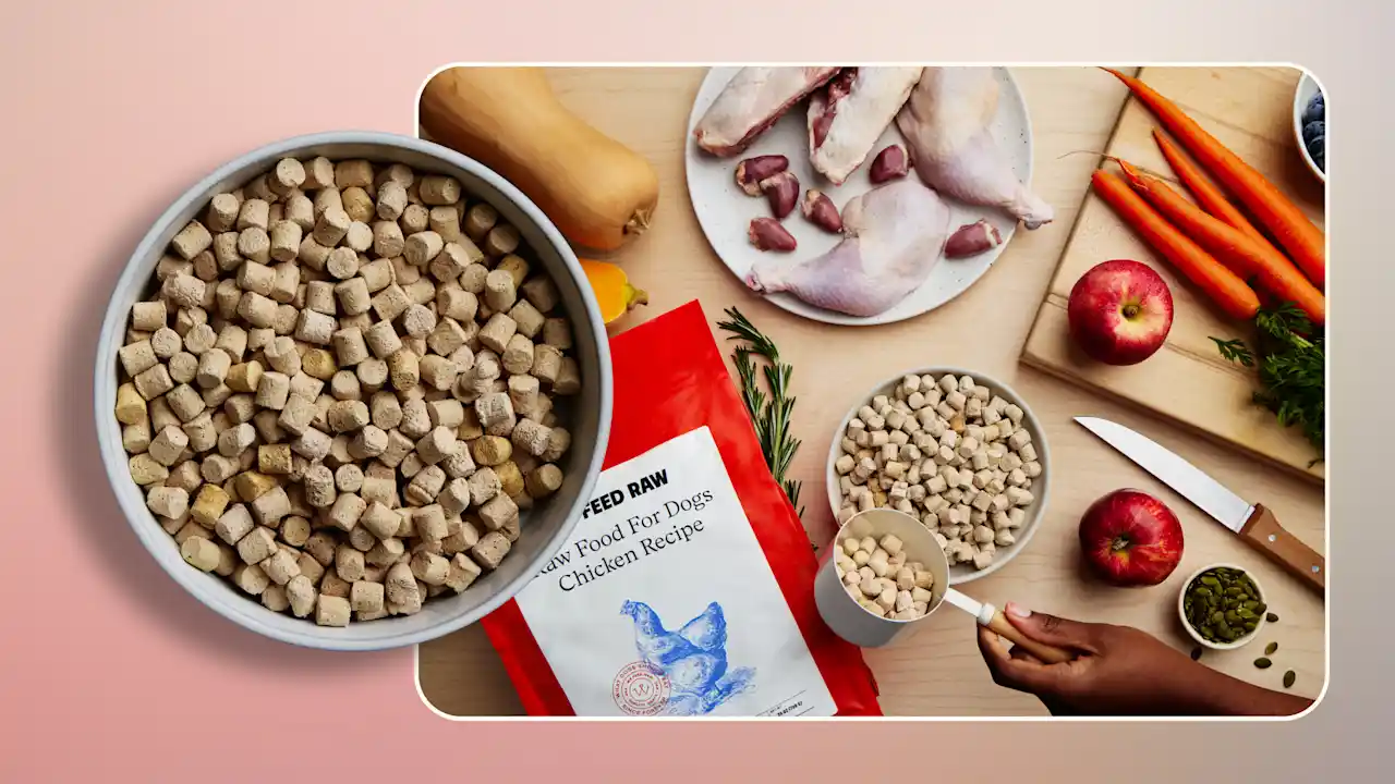 can i feed my dog raw meat from the supermarket