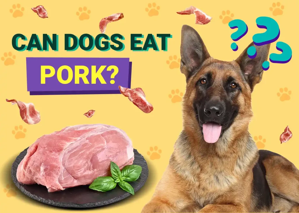 can dogs eat pork