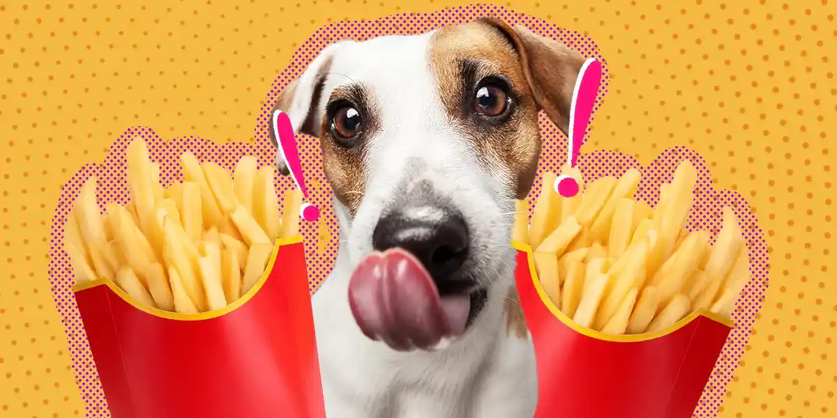 can dogs have french fries