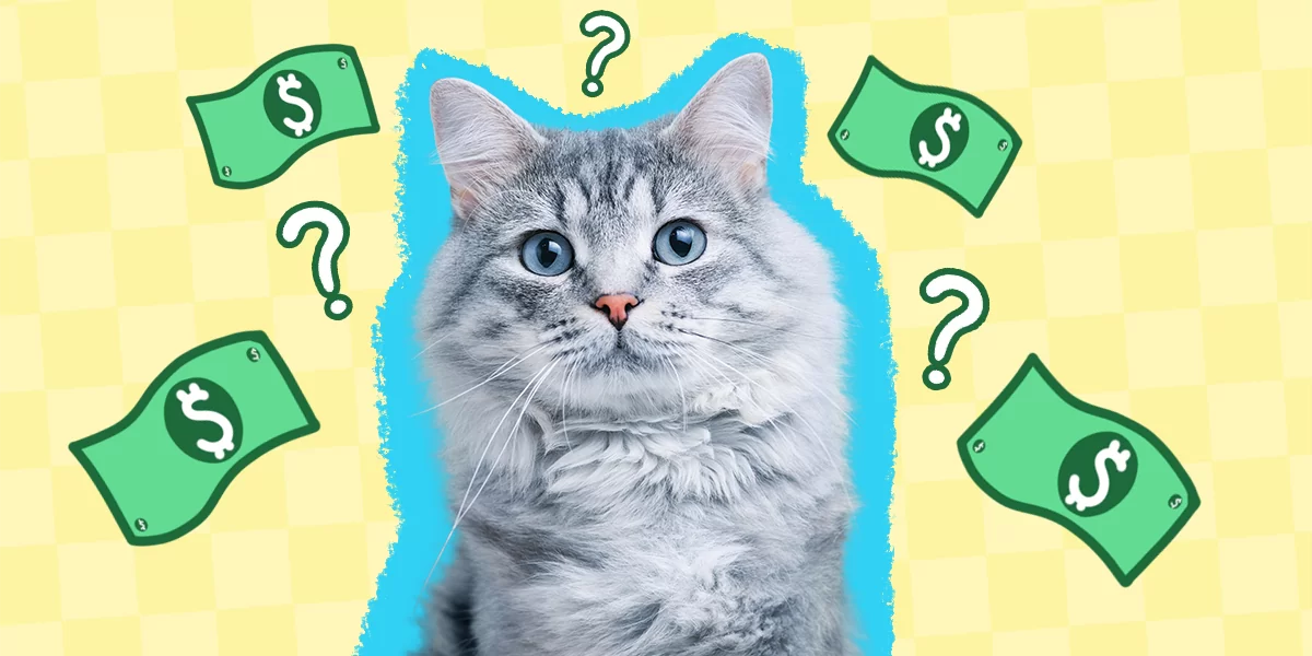 how much does it cost to microchip a cat