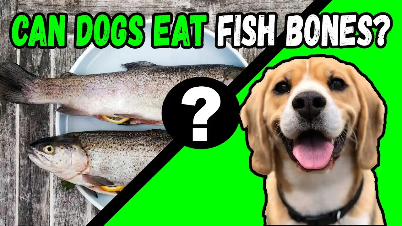 can dogs eat fish
