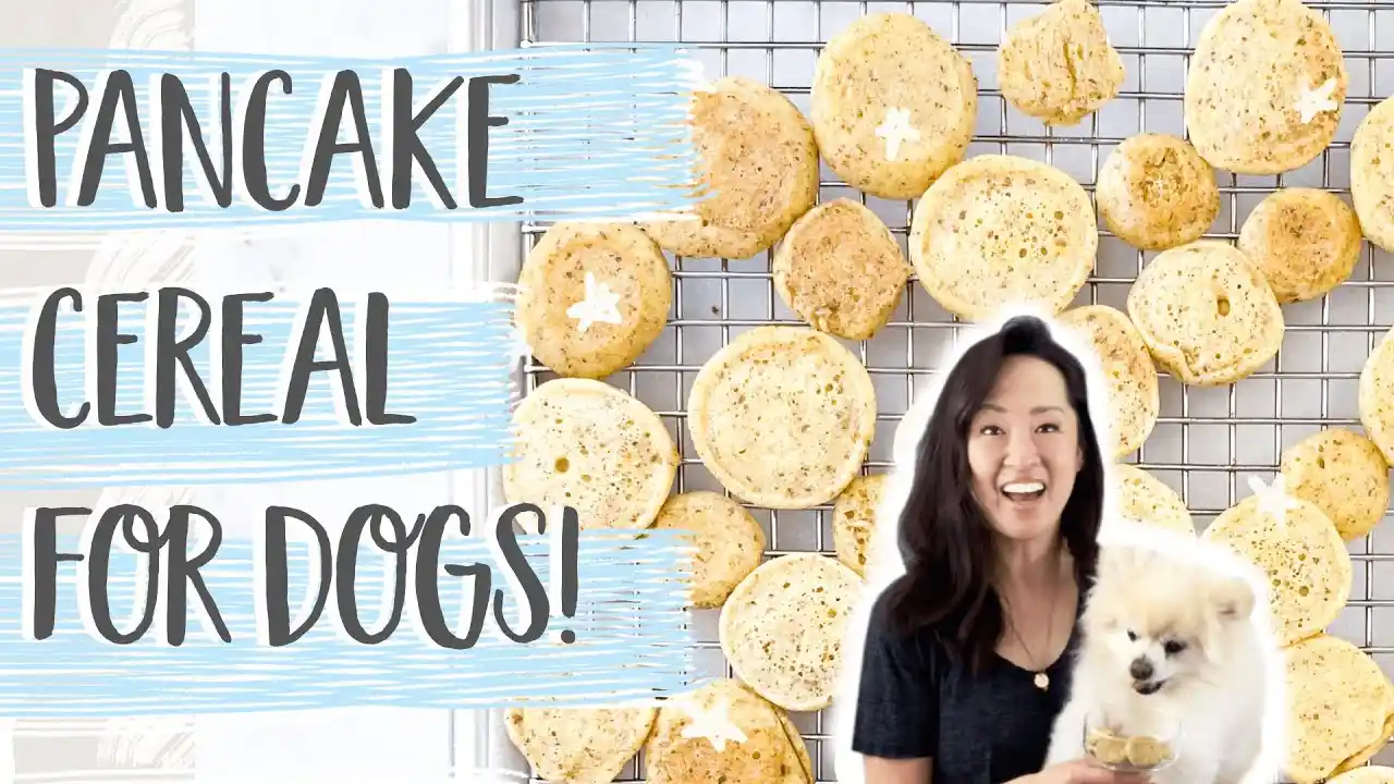 can dogs eat pancakes