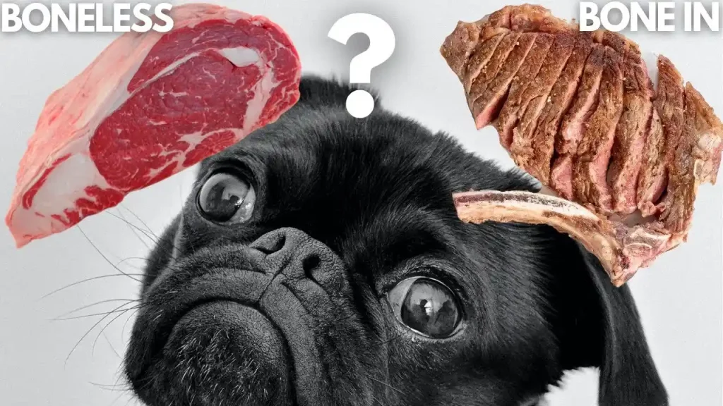 can dogs have rib bones