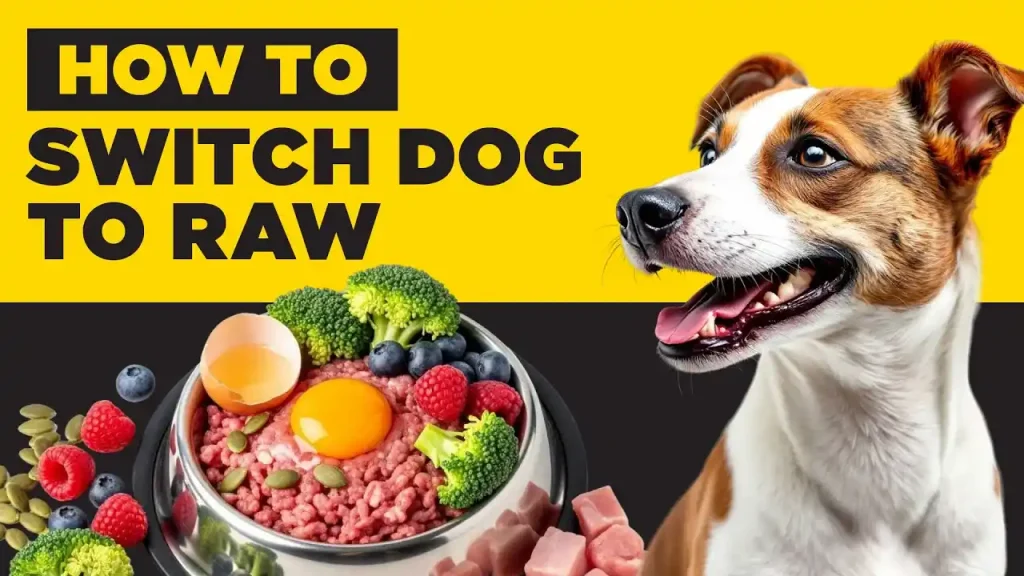 can i feed my dog raw meat from the supermarket