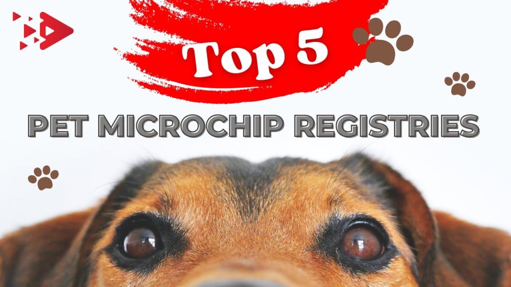 how much does it cost to microchip a dog