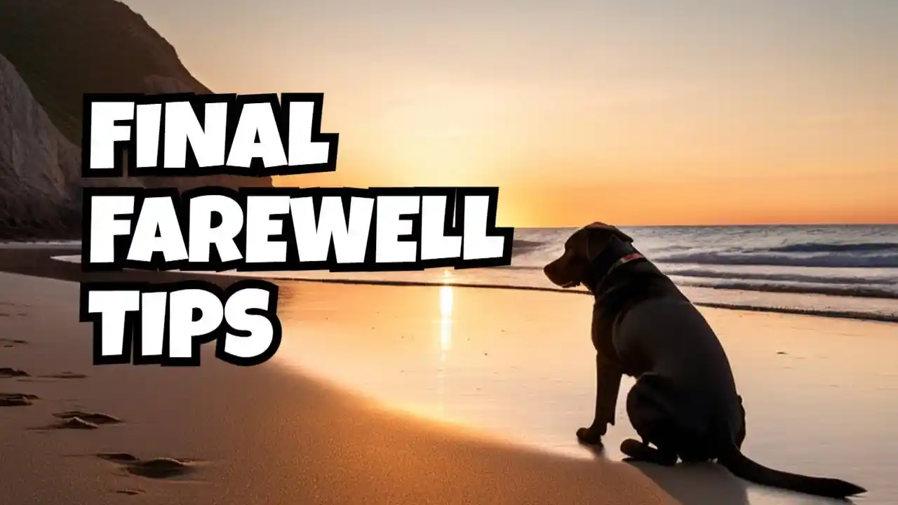 will a dog with congestive heart failure die peacefully