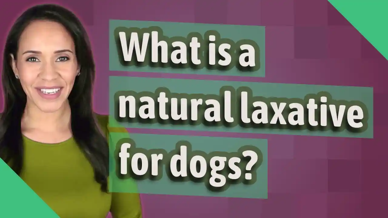 can dogs eat dates