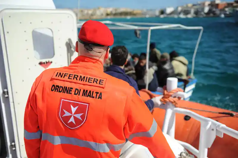 maltese adoption