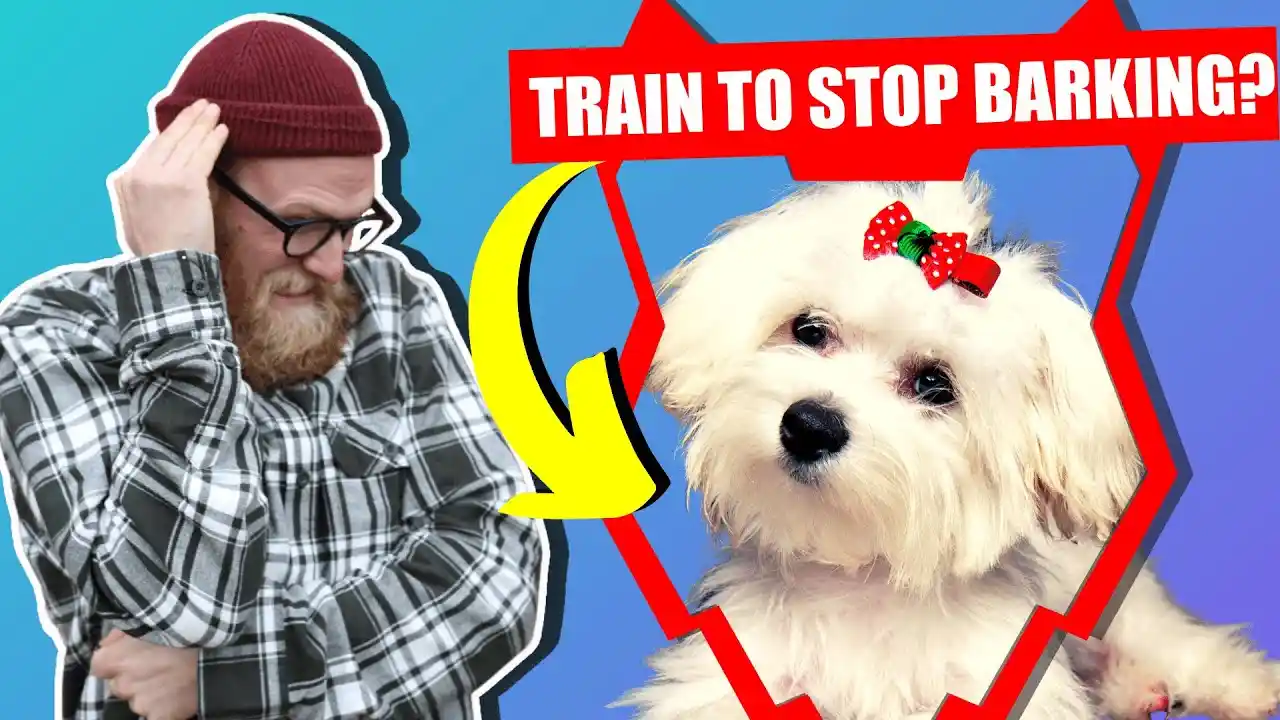 do maltese bark a lot